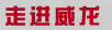 走进威龙